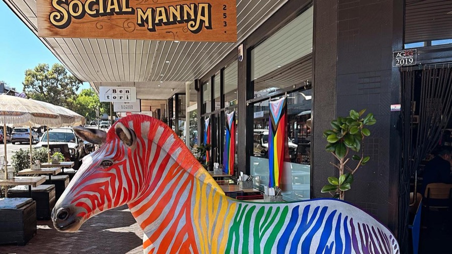 Colorful zebra statue at Social Manna cafe in Australia