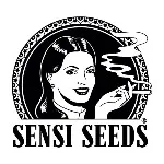 Sensi Seeds